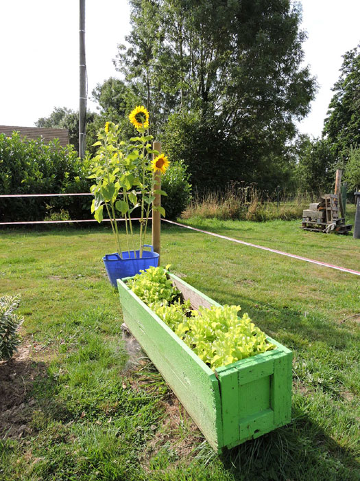 Le potager hors sol de Flavie (D.R.)