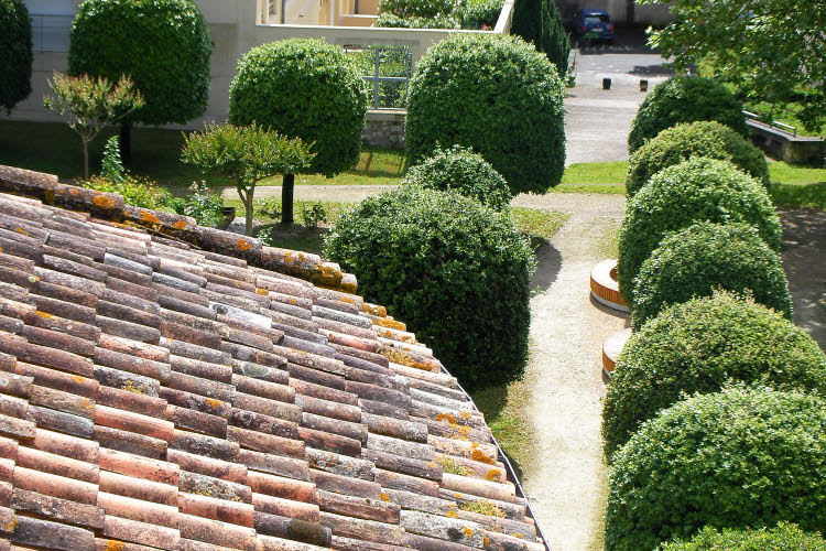 Jardins de l'Abbaye aux Dames de Saintes (D.R.)