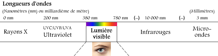 Les longueurs d'ondes des UV