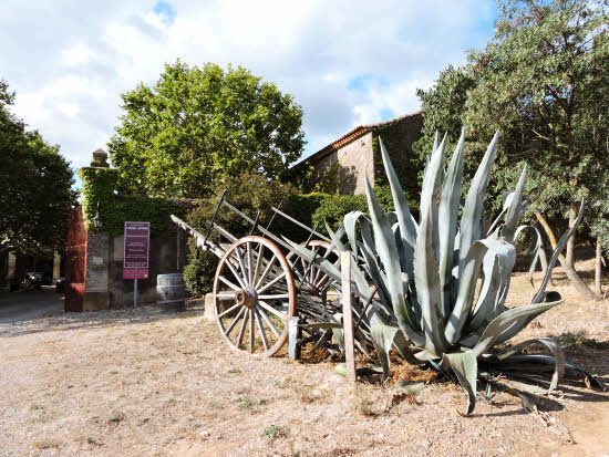 Décor exotique à la Cantina à Bize-Minervois © ABCfeminin.com.