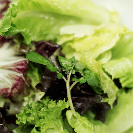 Astuces et conseils diététiques pour mieux profiter des repas festifs Astuces et conseils diététiques pour mieux profiter des repas festifs