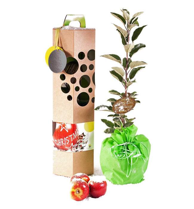 Cadeau thème NATURE - Un arbre à planter Arbre-Cadeau. Cadeau thème NATURE - Un arbre à planter Arbre-Cadeau.