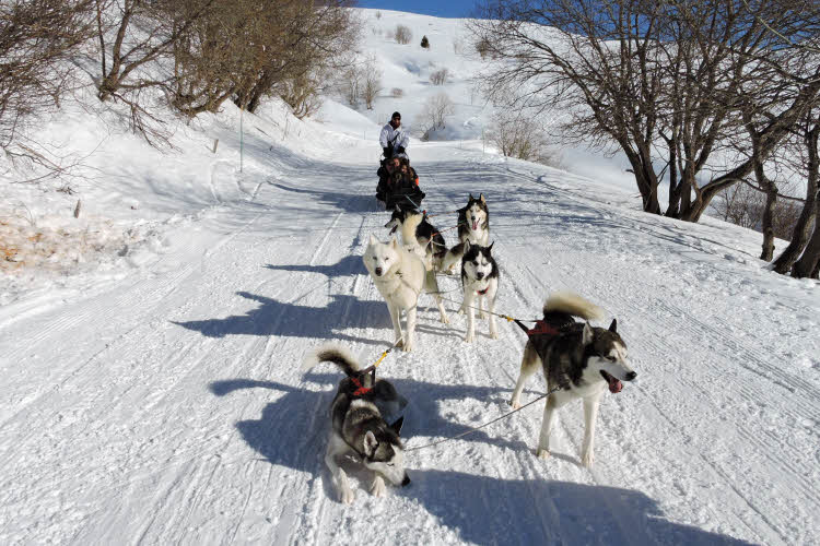 Descente en traîneau tiré par des chiens à Saint François Longchamp © ABCfeminin.com.