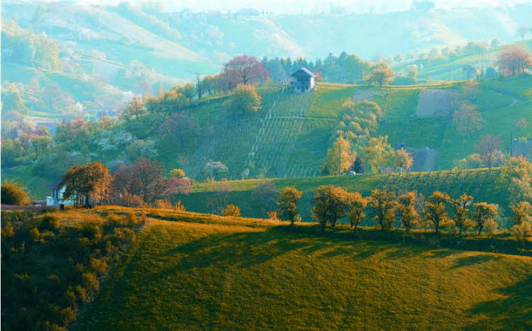 Panorama de la région de Zagorje en Croatie.