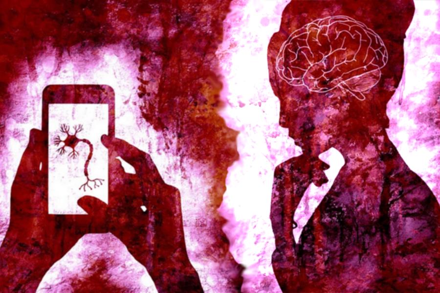 le TOP 10 des préférences du cerveau