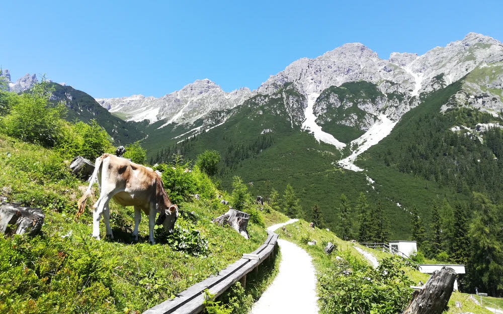 Le Scheibenweg sur les hauteurs de la vallée de Stubai au Tyrol © ABCfeminin.com