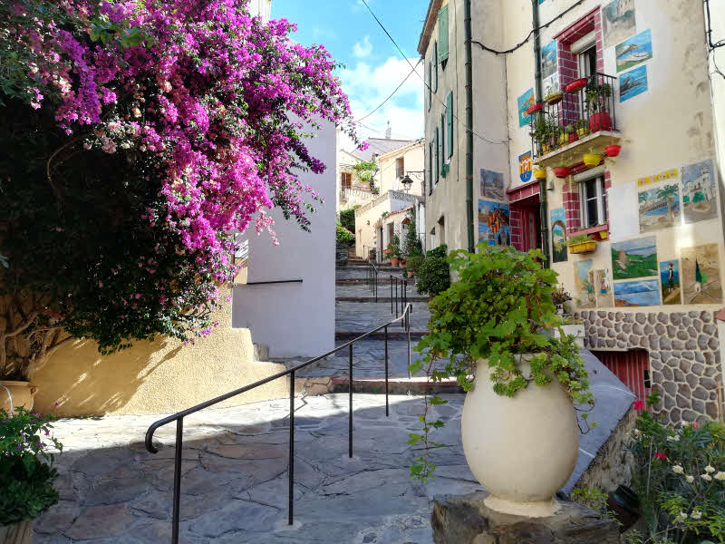 BANUYLS-sur-MER - Les ruelles fleuries © ABCfeminin.com.