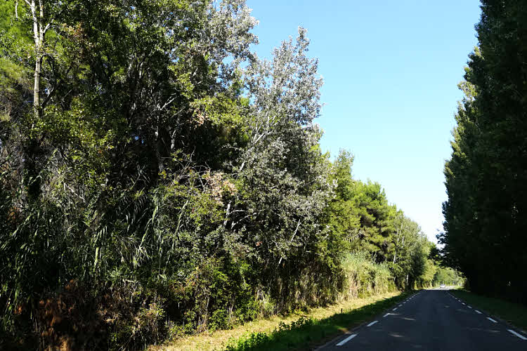 Sur la route en Terre d'Argence © ABCfeminin.com.