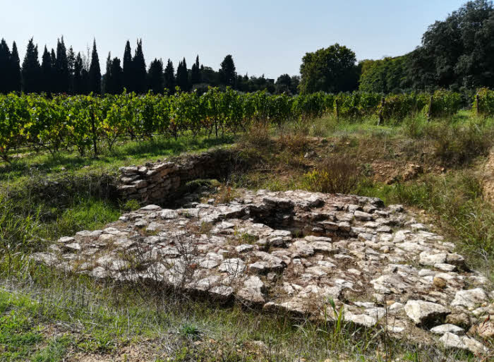Au Château Mourgues du Grès, vestiges romains au milieu des vignes où plus de 1000 pièces romaines frappées de différents pays du pourtour méditerranéen ont été découvertes © ABCfeminin.com.