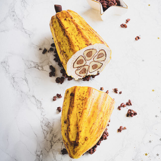 Bûche de Noël Cabosse Nicolas Paciello. Bûche de Noël Cabosse Nicolas Paciello.