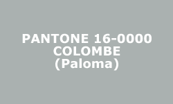 Couleur Colombe (Paloma) - Pantone® Couleur Colombe (Paloma) - Pantone®