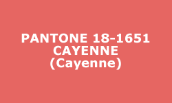 Couleur Cayenne - Pantone®