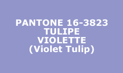 Couleur Tulipe  Violette (Violet Tulip) - Pantone®