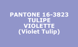 Couleur Tulipe  Violette (Violet Tulip) - Pantone® Couleur Tulipe  Violette (Violet Tulip) - Pantone®