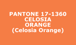 Couleur Celosia Orange - Pantone® Couleur Celosia Orange - Pantone®