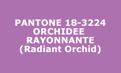 Couleur Orchidée Rayonnante (Radiant Orchid) - Pantone® Couleur Orchidée Rayonnante (Radiant Orchid) - Pantone®