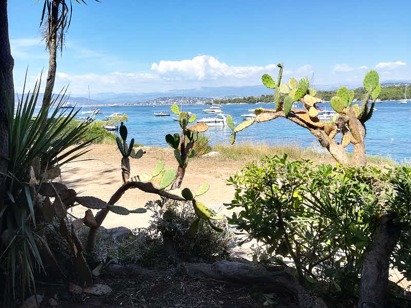 Dans les îles de Lérins à Cannes Vue sur l'Île Sainte-Marguerite depuis l'Île Saint-Honorat © ABCfeminin.com.