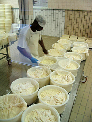 Fromagerie des Moussières dans le Haut-Jura Fromagerie des Moussières dans le Haut-Jura