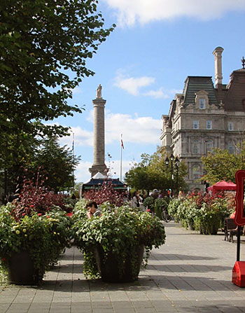 Place Jacques Cartier en haut de laquelle est érigée depuis 1809 la colonne Nelson, l'un des plus anciens monuments historiques du Québec (D.R.)