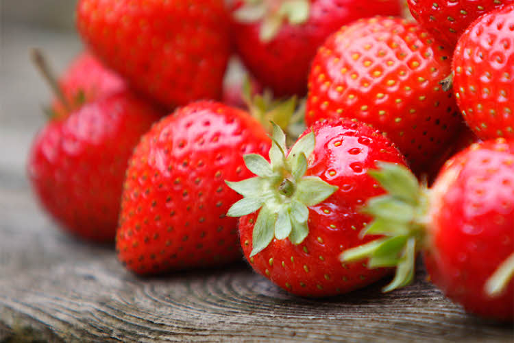 les fraises : achat, conservation, recettes et conseils nutritionnels.
