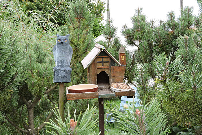 La maison des oiseaux dans le jardin de Flavie (D.R.)