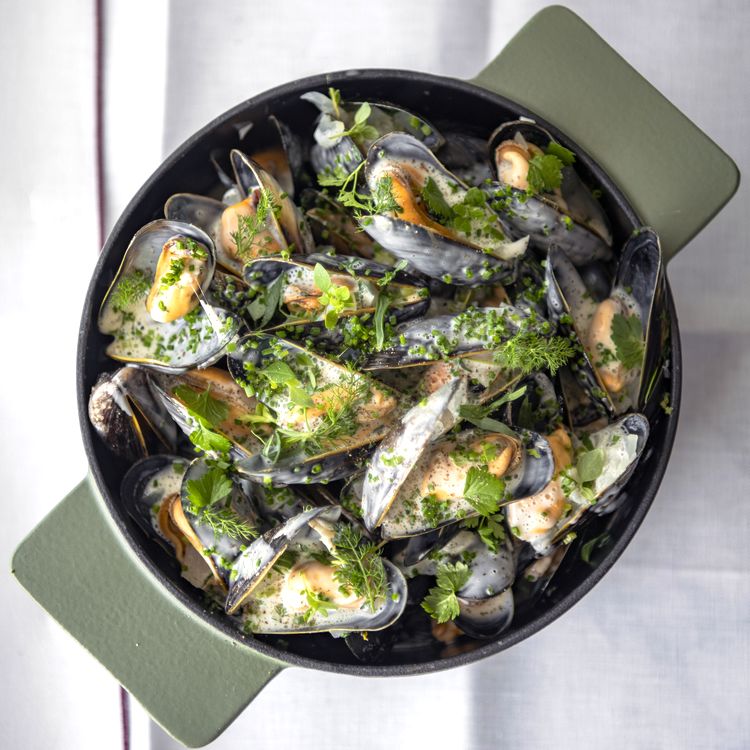 Recette des moules marinières à la crème et au vin blanc de Ronnie Herman