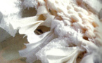 Modèle expliqué : tapis de chiffons à tricoter © Mango Pratique.