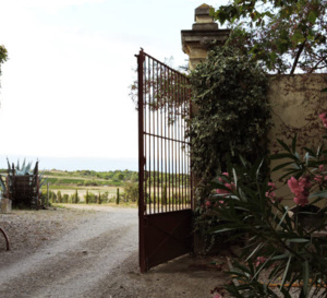 Villages perchés, vignobles ensoleillés, le Minervois est à redécouvrir et à déguster