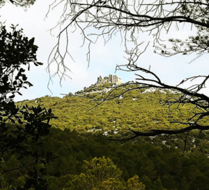 Les curiosités et la vie animée autour du Pic Saint Loup