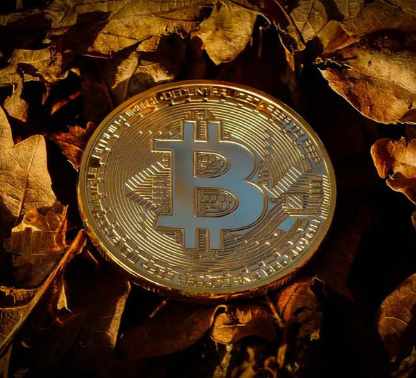 Bitcoin et cryptomonnaies.